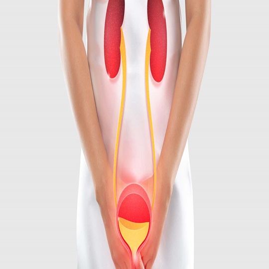 İdrar Yolu Enfeksiyonları İdrar Yolu Enfeksiyonları