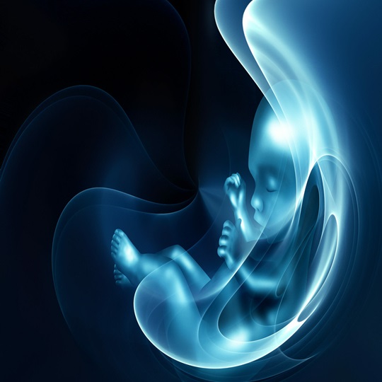 Tekrarlayan Gebelik Kayıpları Tekrarlayan Gebelik Kayıpları