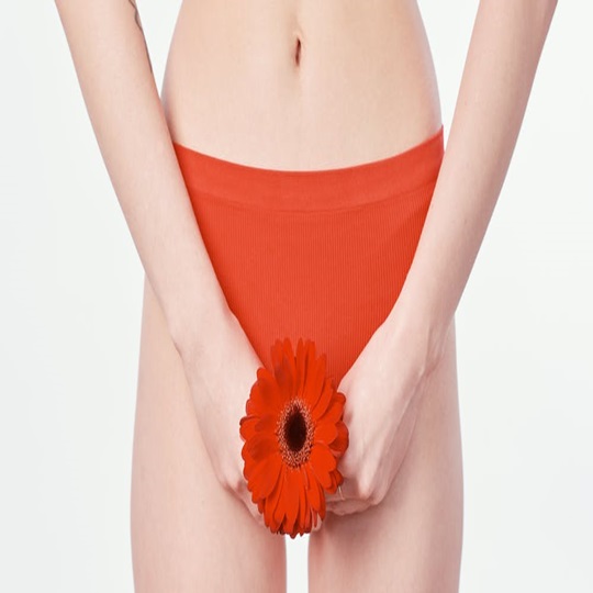 Vajinismus Vajinismus