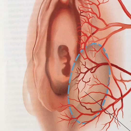 Bartholin Kisti Tedavisi Bartholin Kisti Tedavisi